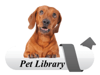 Rohlk Animal Hospital offers the VIN Client Information Library