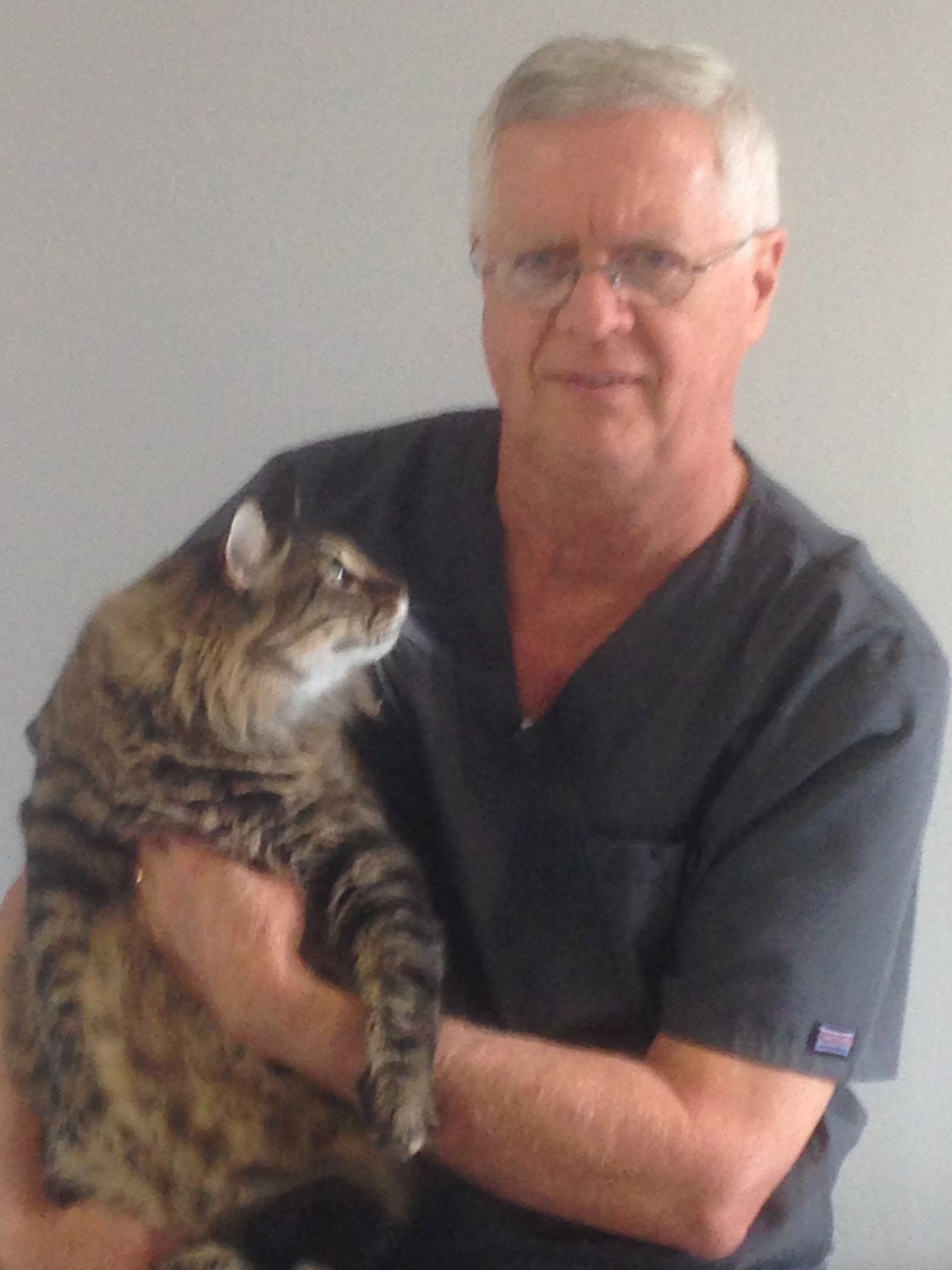 Dr. Rohlk, DVM is happy to provide veterinary care at Rohlk Animal Hospital Dr. Rohlk, DVM is happy to provide veterinary care at Rohlk Animal Hospital